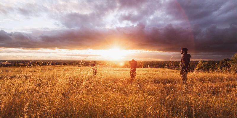 Adi商城正品验证全攻略：防伪码查询+特价商品避坑指南