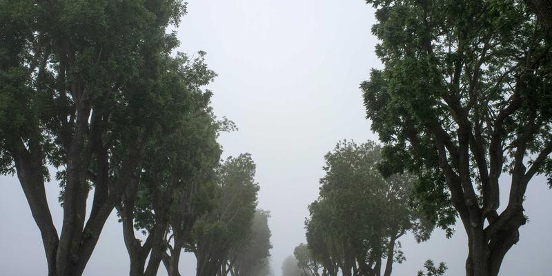 Adi商城足球装备选购终极指南:从波西米亚风购物灵感到实战护具全解析