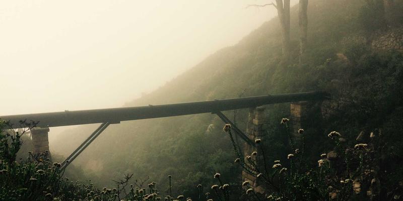 Adi商城黑五购物终极指南:提前锁定年度最低价与独家套装优惠